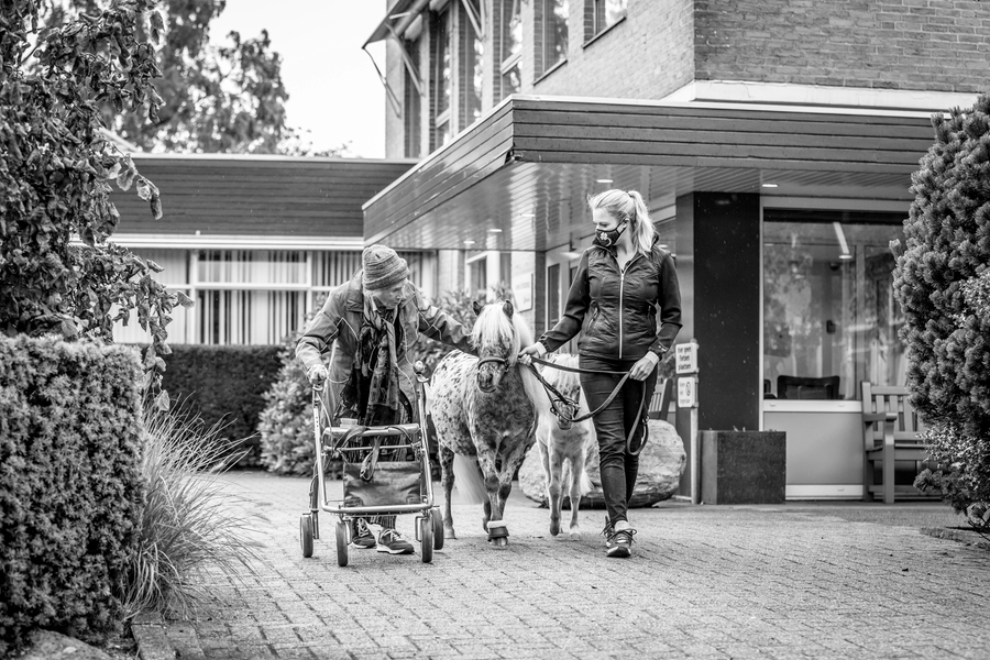 foto-s-video-s-van-bezoeken-mens-dier-welzijn